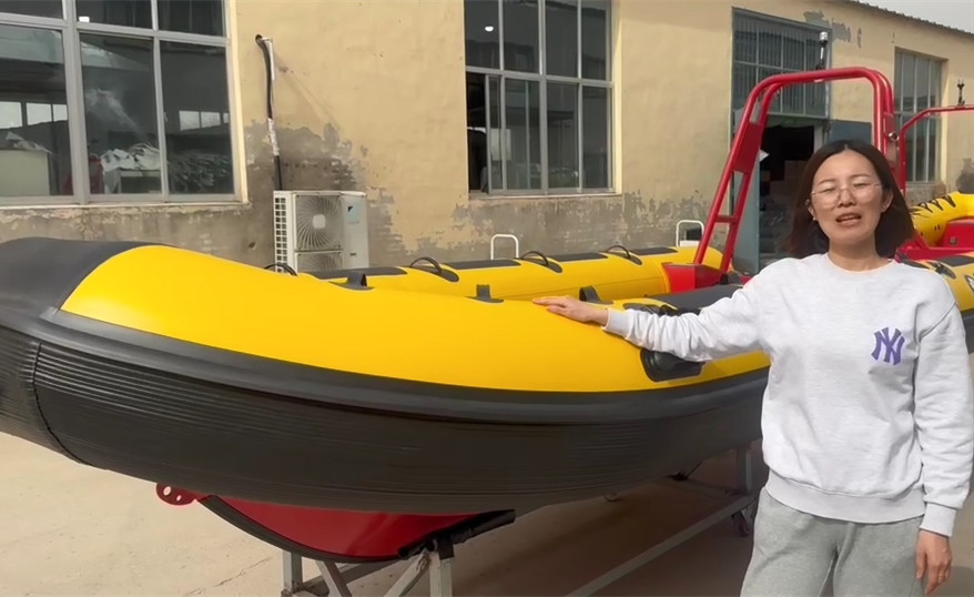 520cm Aluminum RIB Boat PA520: Conquering the Extreme Waters of Antarctica and South Georgia